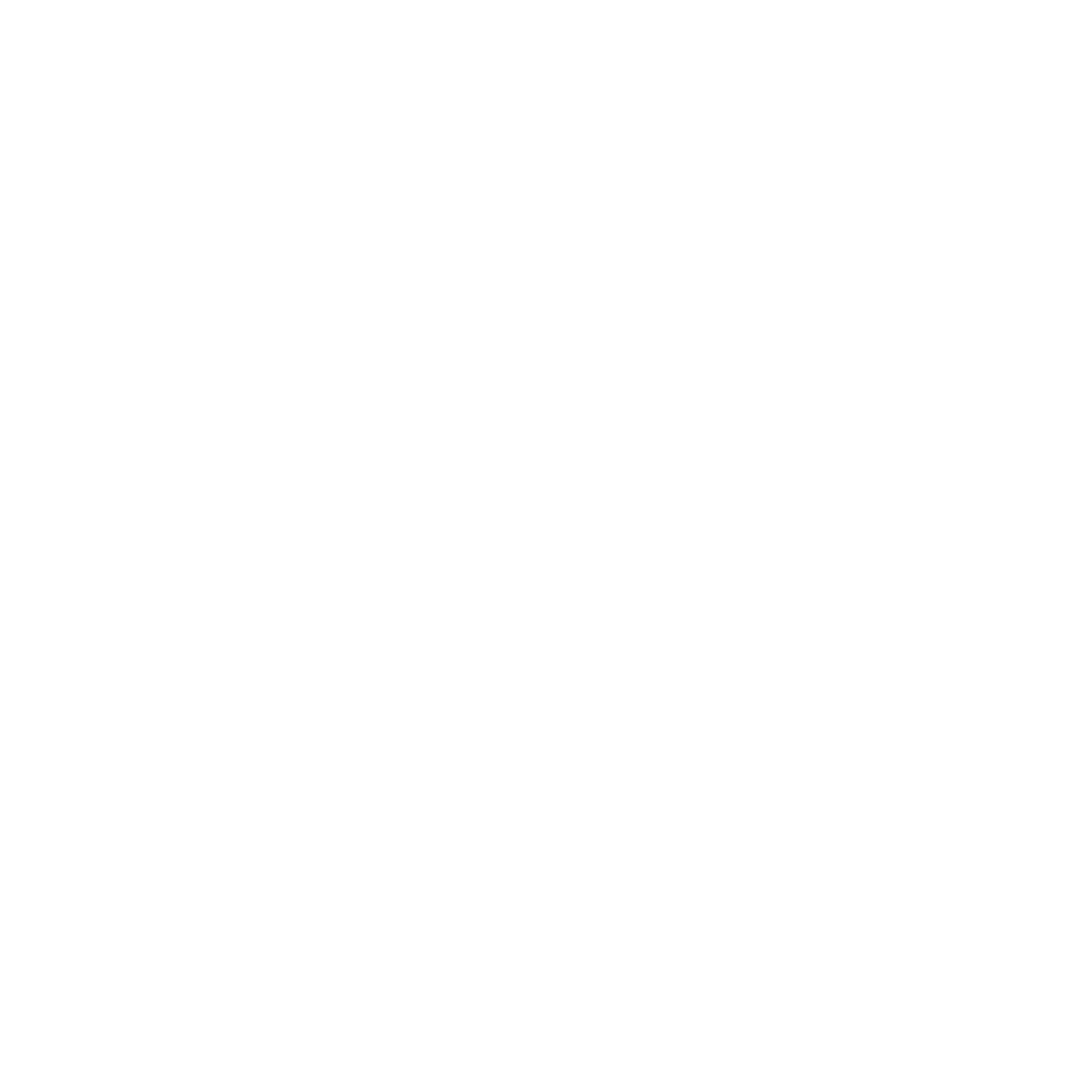 Nokron Security Logo